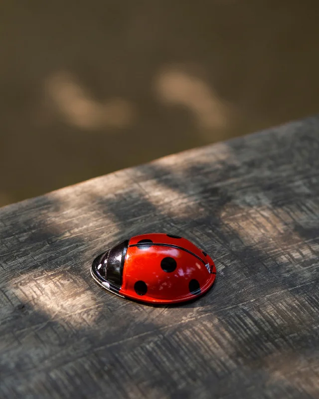 Lady Bug Clicker Toy Gym